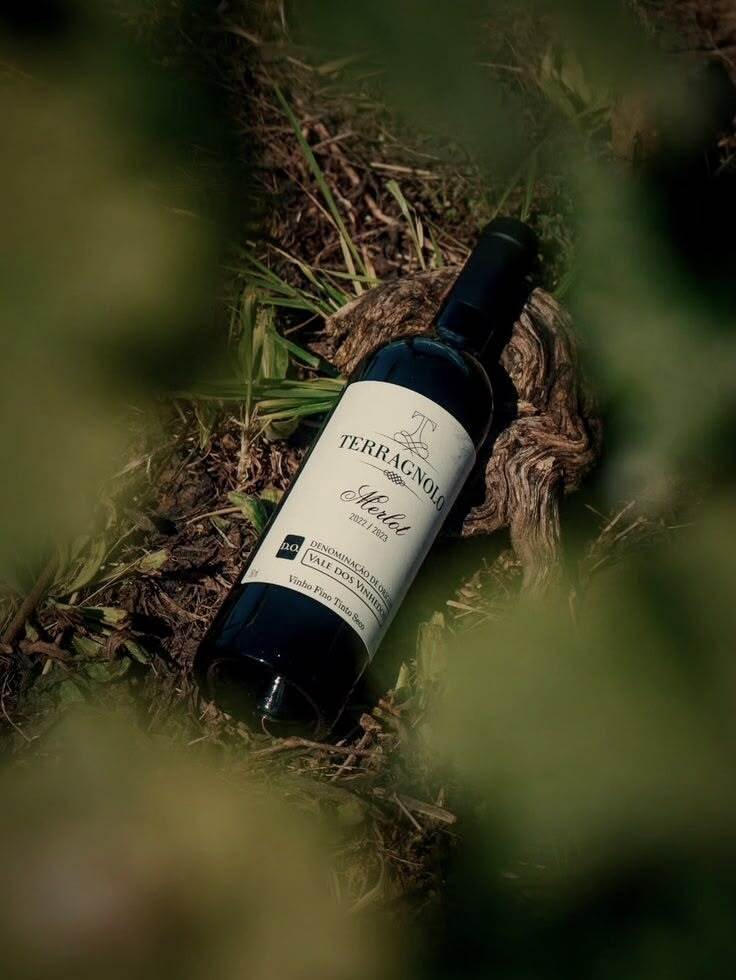 Botella recostada entre la vegetación del viñedo