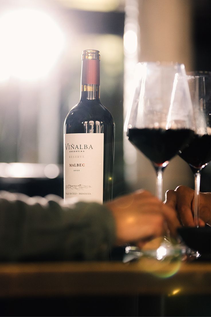 Momento compartido con copas de malbec